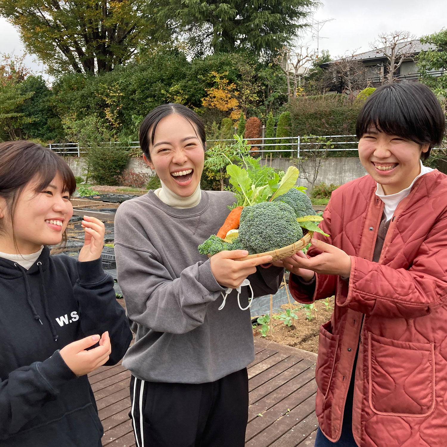 成城の落ち着いた農園で癒しのひとときを過ごすイメージ